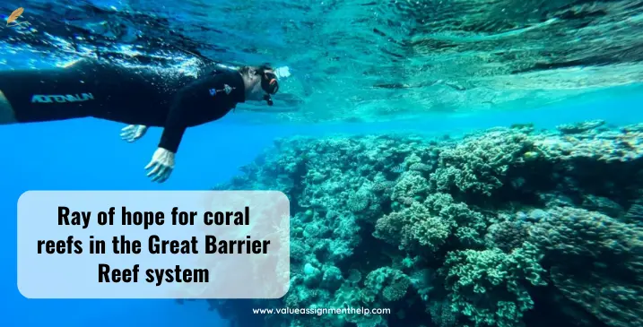 ray of hope for coral reefs in the great barrier reef system